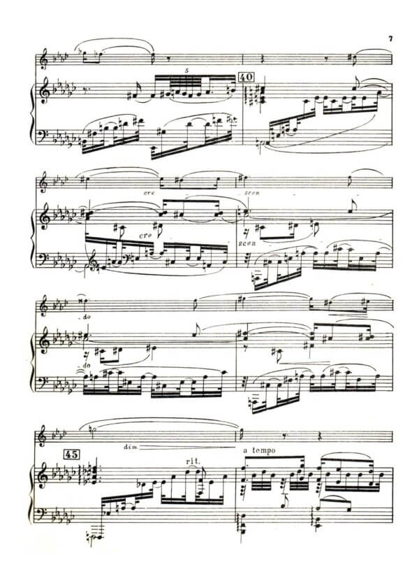 Gliere, Reinhold - Concerto for Coloratura Soprano (Andante - Allegro) for trumpet Bb and piano - Image 3