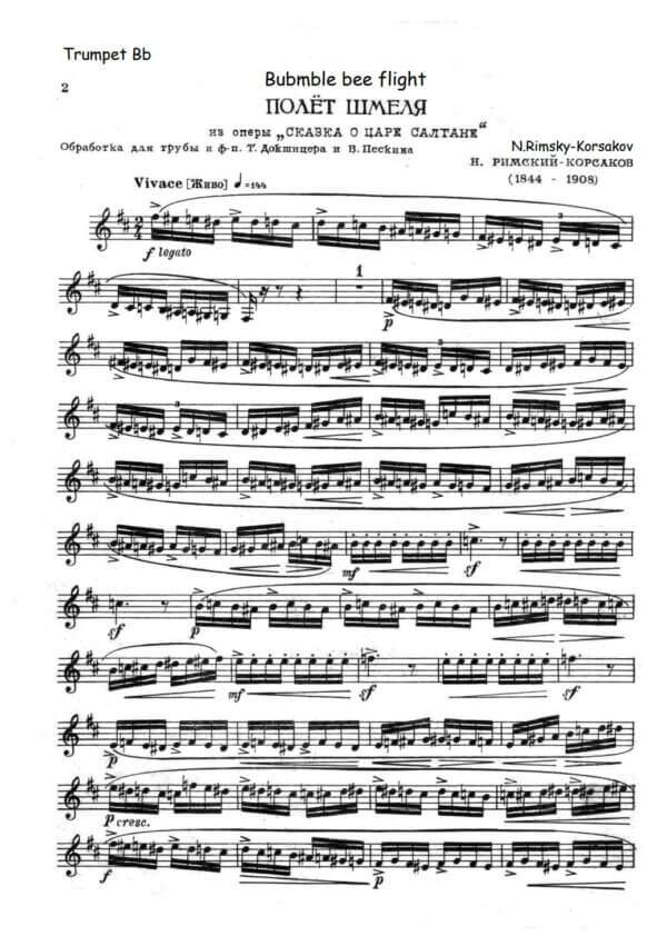 Rimsky-Korsakov, Nikolai - Flight of the Bumble Bee - Image 4